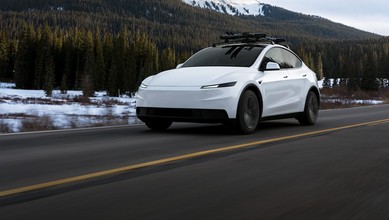 Model Y